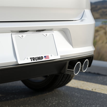 Metal License Plate, Flag Collection